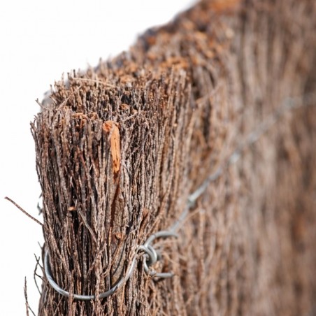 Vue en coupe de la brande de bruyère montrant l'épaisseur et la densité pour une occultation optimale
